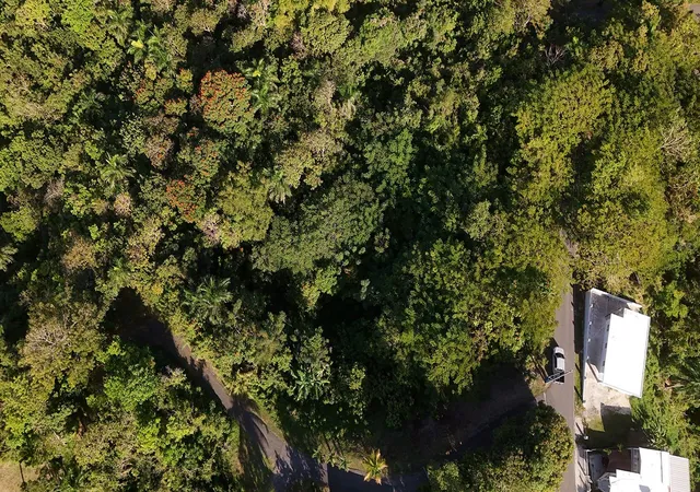 Homes for sale in Rincon, PR | Bo Cruces Carr 414 Km Hm 05, Rincon, PR 00677 | MLS# PR9119722