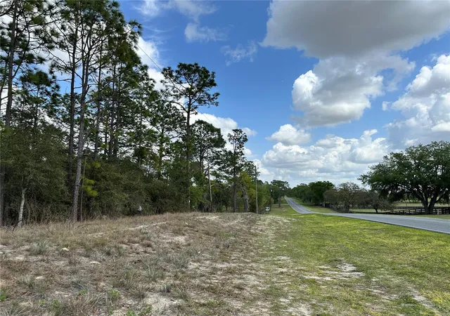 Homes for sale in Morriston, FL | Tbd Se 30Th St, Morriston, FL 32668 | MLS# OM720263