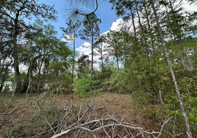 Homes for sale in Morriston, FL | Tbd Se 30Th St, Morriston, FL 32668 | MLS# OM720263