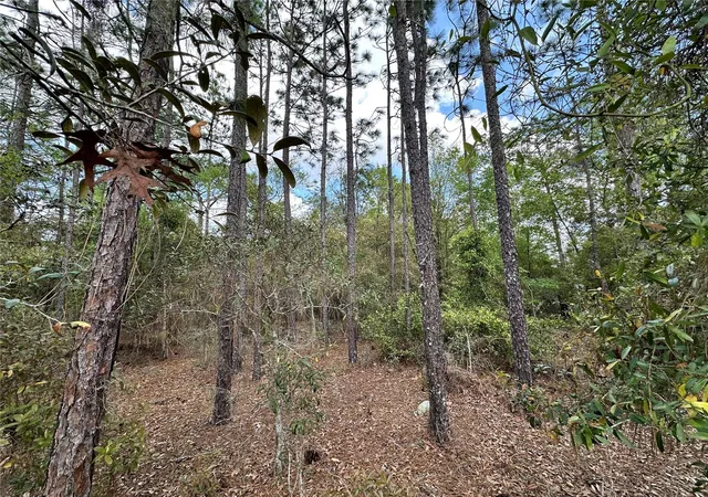 Homes for sale in Morriston, FL | Tbd Se 30th St, Morriston, FL 32668 | MLS# OM720263