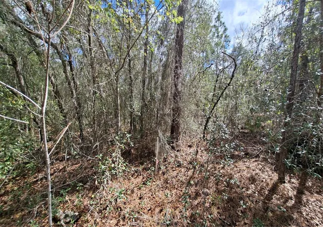 2nd image of Fisher Run, Ocklawaha, FL 32179 | MLS# GC538241