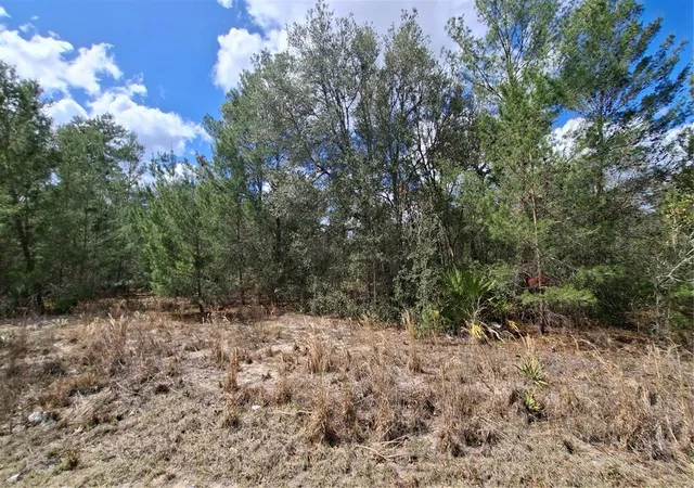 3rd image of Fisher Run, Ocklawaha, FL 32179 | MLS# GC538241