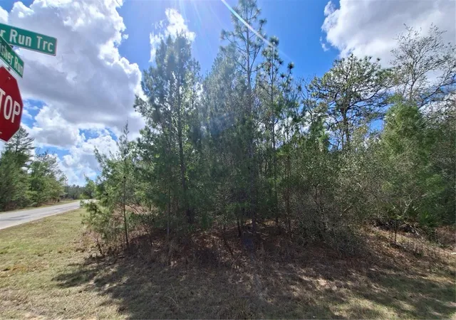 4th image of Fisher Run, Ocklawaha, FL 32179 | MLS# GC538241