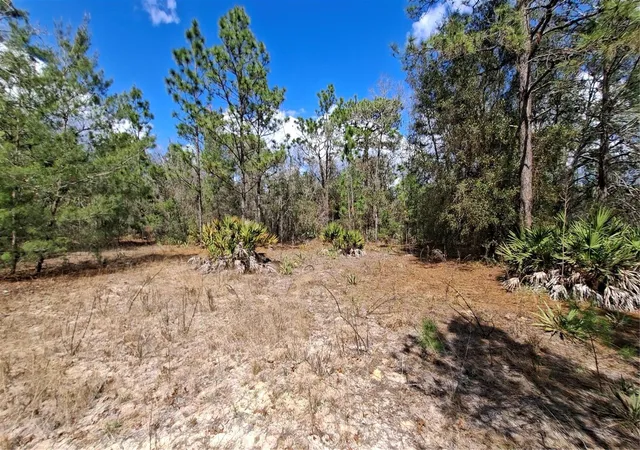 5th image of Fisher Run, Ocklawaha, FL 32179 | MLS# GC538241