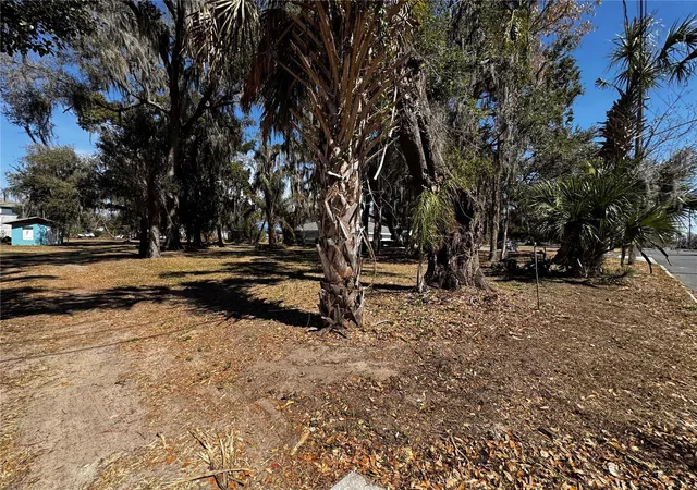 2nd image of 1180 E Church St, Bartow, FL 33830 | MLS# P4938071