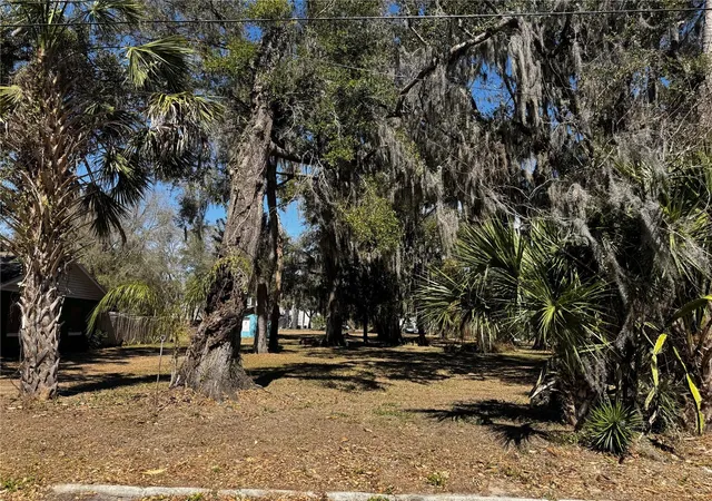 3rd image of 1180 E Church St, Bartow, FL 33830 | MLS# P4938071