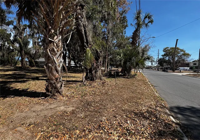 4th image of 1180 E Church St, Bartow, FL 33830 | MLS# P4938071