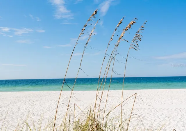 24th image of 2312 Gulf Dr N #103, Bradenton Beach, FL 34217 | MLS# A4685249