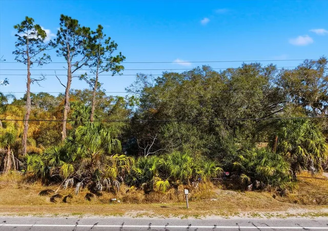 2nd image of 8529 Lithia Pinecrest Rd, Lithia, FL 33547 | MLS# TB8483929