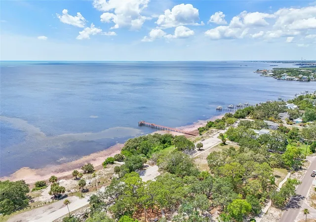 4th image of 131 Pennsylvania Ave, Palm Harbor, FL 34683 | MLS# TB8484006
