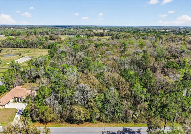13th image of Tbd Nw Hwy 225a, Reddick, FL 32686 | MLS# OM720318