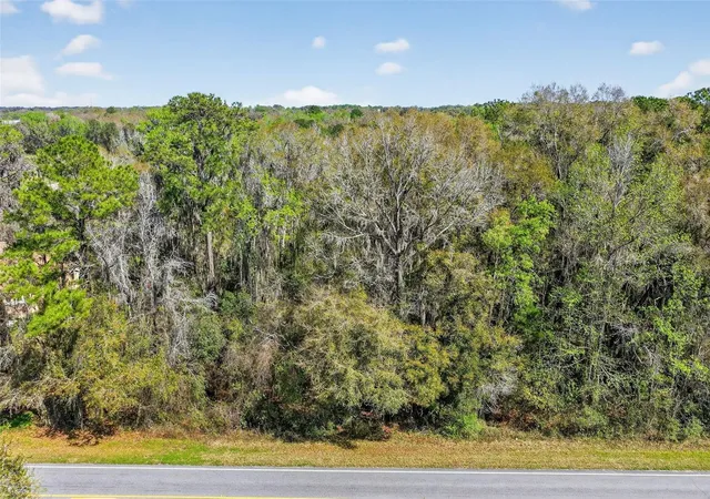 5th image of Tbd Nw Hwy 225A, Reddick, FL 32686 | MLS# OM720318
