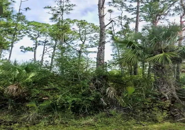 Photo 3 of Land for sale at Lot 17 Donatello Ave, North Port, FL 34286 | MLS# A4685345 | Listing updated on 2026-08-31