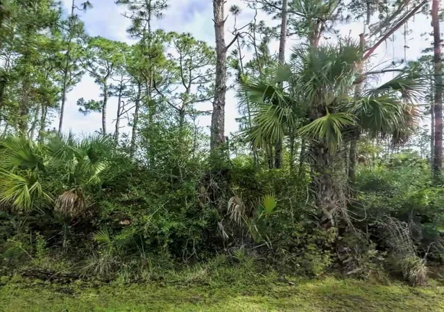 Photo 4 of Land for sale at Lot 17 Donatello Ave, North Port, FL 34286 | MLS# A4685345 | Listing updated on 2026-08-31