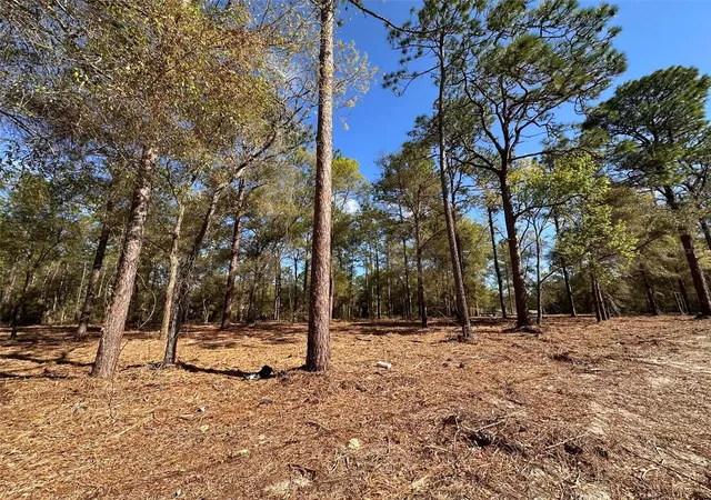 11th image of 0 W Hwy 40, Ocala, FL 34481 | MLS# OM720384