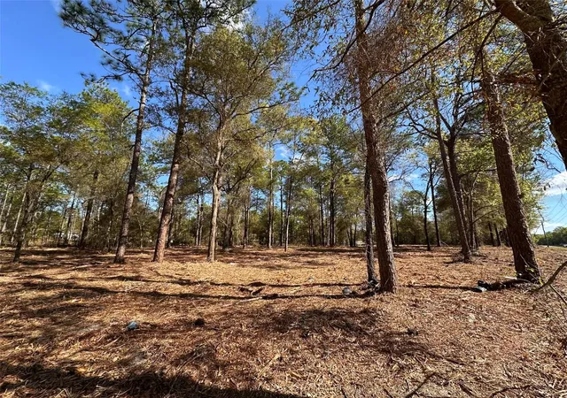 2nd image of 0 W Hwy 40, Ocala, FL 34481 | MLS# OM720384
