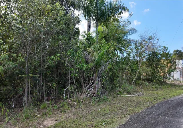 Homes for sale in Toa Alta, PR | Urb El Dorado Calle Malaga #80, Toa Alta, PR 00953 | MLS# PR9119766