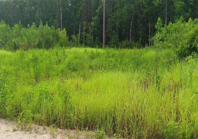 3rd image of Sw 18 St, Ocala, FL 34481 | MLS# OM720405