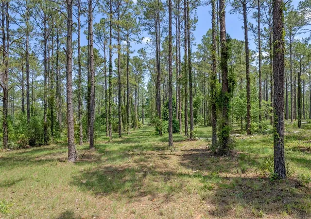 1st image of 35408 Pinegate Trl Trl, Eustis, FL 32736 | MLS# O6389103