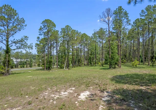 2nd image of 35408 Pinegate Trl Trl, Eustis, FL 32736 | MLS# O6389103