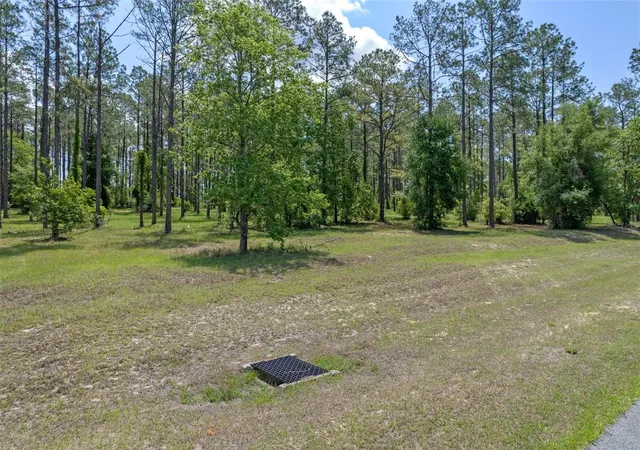 Photo 3 of Land for sale at 35408 Pinegate Trl, Eustis, FL 32736 | MLS# O6389103 | Listing updated on 2026-07-27
