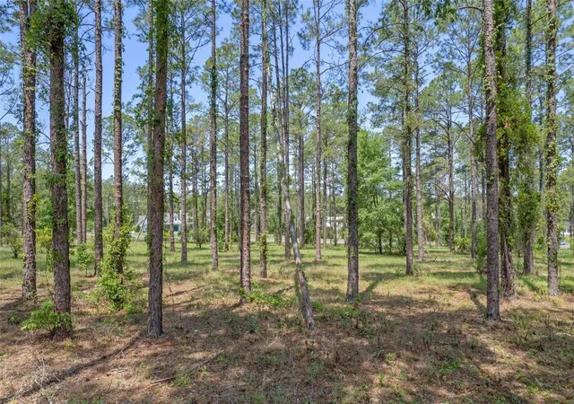 Photo 3 of Land for sale at 35408 Pinegate Trl, Eustis, FL 32736 | MLS# O6389103 | Listing updated on 2026-07-27