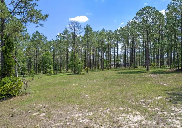 Photo 4 of Land for sale at 35408 Pinegate Trl, Eustis, FL 32736 | MLS# O6389103 | Listing updated on 2026-07-27