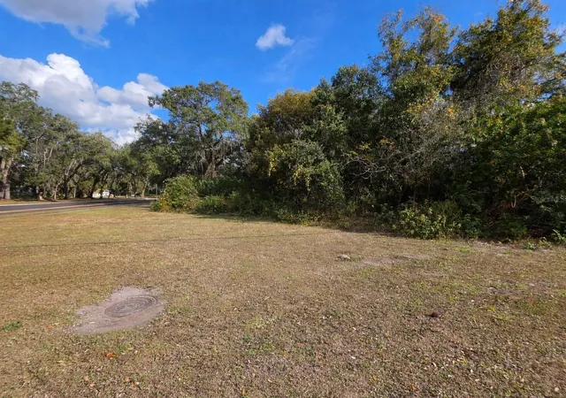 Photo 3 of Land for sale at 0 Michigan Ave, Kissimmee, FL 34744 | MLS# S5145426 | Listing updated on 2026-09-01