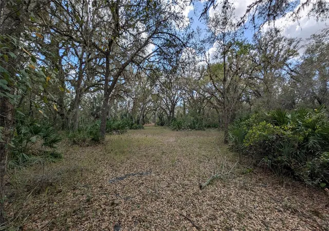 Photo 2 of Land for sale at Gillette Rd, Zolfo Springs, FL 33890 | MLS# P4938092 | Listing updated on 2026-10-10