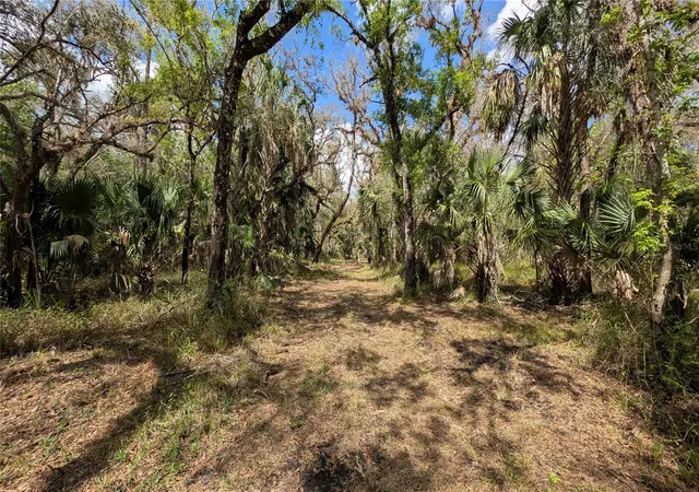 Photo 1 of Land for sale at Gillette Rd, Zolfo Springs, FL 33890 | MLS# P4938092 | Listing updated on 2026-10-10