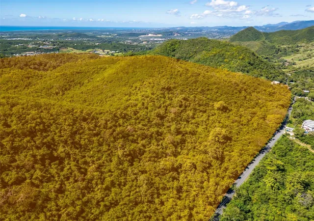 Photo 1 of Land for sale at Bo Tijeras, Juana Diaz, PR 00795 | MLS# PR9119789 | Listing updated on 2026-03-12