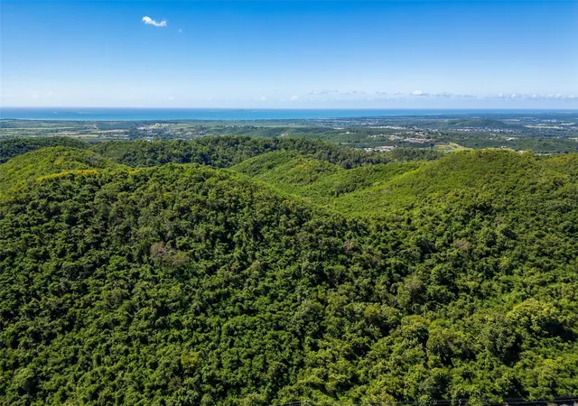 Photo 4 of Land for sale at Bo Tijeras, Juana Diaz, PR 00795 | MLS# PR9119789 | Listing updated on 2026-03-12