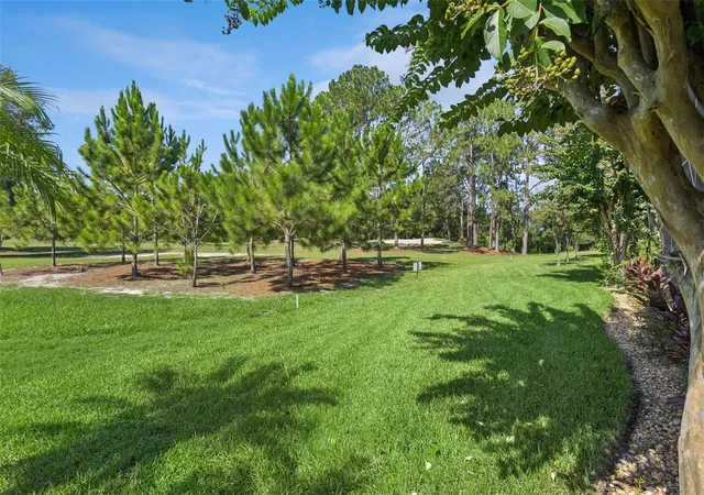 33rd image of 9512 Serra Ct, Howey In The Hills, FL 34737 | MLS# G5109364