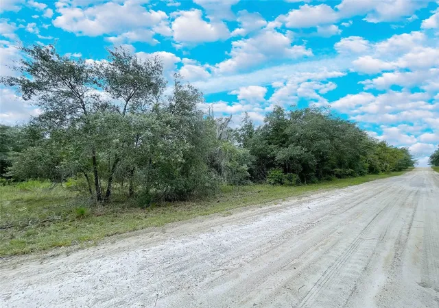 Photo 1 of Land for sale at Tbd Ne 85th Street, Bronson, FL 32621 | MLS# OM720467 | Listing updated on 2026-03-11