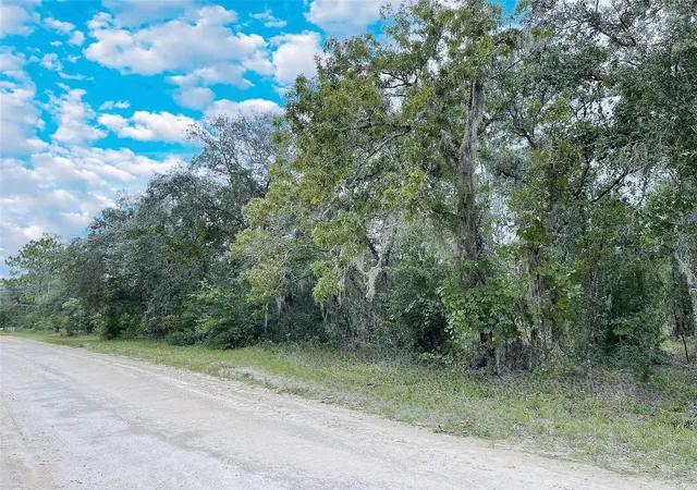 Photo 2 of Land for sale at Tbd Ne 85th Street, Bronson, FL 32621 | MLS# OM720467 | Listing updated on 2026-03-11