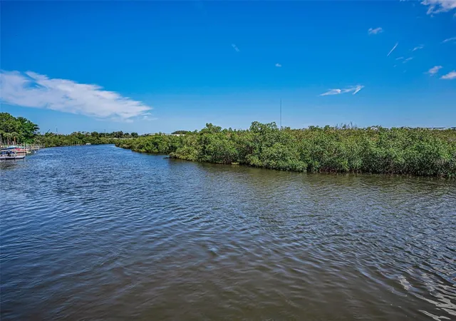 85th image of 133 N Pinellas Ave, Tarpon Springs, FL 34689 | MLS# W7883780