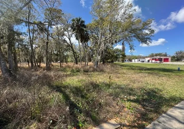 3rd image of Wallace Rd, New Smyrna Beach, FL 32168 | MLS# NS1087589