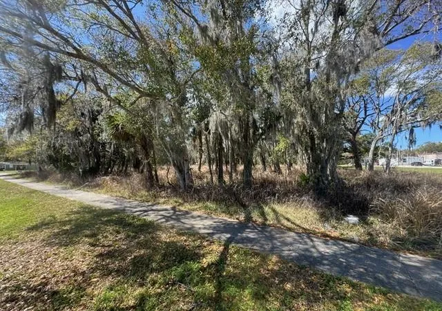 5th image of Wallace Rd, New Smyrna Beach, FL 32168 | MLS# NS1087589