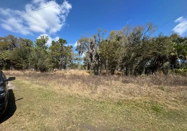 7th image of Wallace Rd, New Smyrna Beach, FL 32168 | MLS# NS1087589