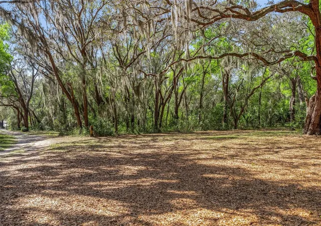 5th image of 2917 Lake Griffin Rd, Lady Lake, FL 32159 | MLS# G5109377