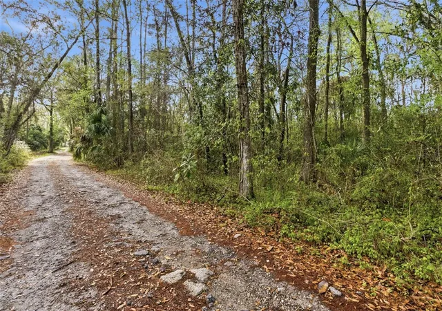 Land for sale at 0 Chisholm St, BROOKSVILLE, FL 34601 | MLS# TB8485367