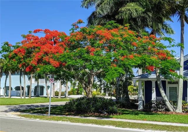 55th image of 3807 Lake Bayshore Dr #H-416, Bradenton, FL 34205 | MLS# A4685814