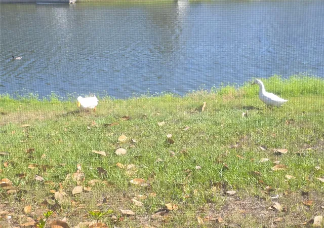 35th image of 7207 Ashwood Dr, Port Richey, FL 34668 | MLS# W7883825