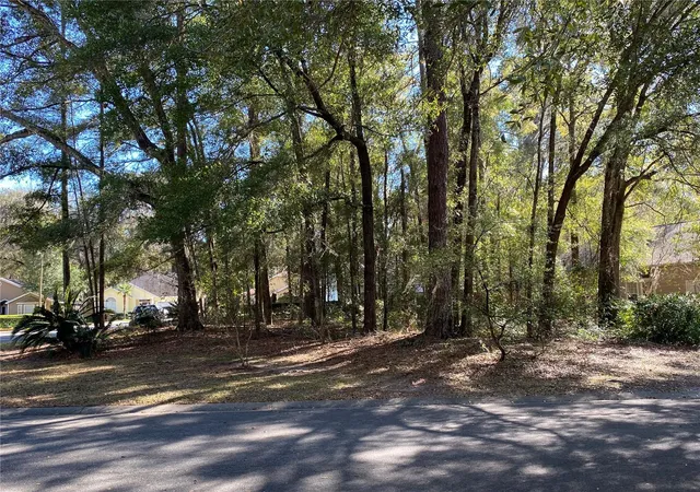 Photo 3 of Land for sale at 12345 Nw 10th Place, Newberry, FL 32669 | MLS# GC538372 | Listing updated on 2026-03-12