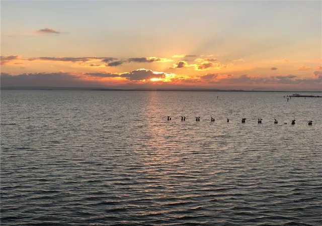 Homes for sale in Tampa, FL | 4950 Bayshore Boulevard, Tampa, FL 33611 | Houzeo