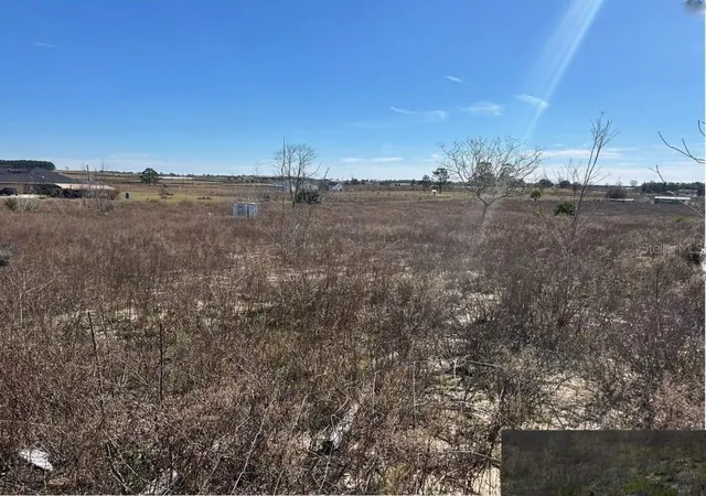 Photo 11 of Land for sale at 11790 Ne 30th Street, Bronson, FL 32621 | MLS# OM720653 | Listing updated on 2026-08-11