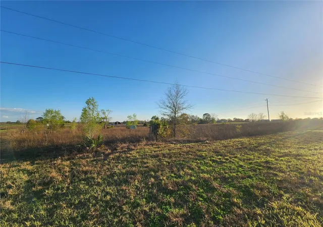 Photo 3 of Land for sale at 11790 NE 30th Street, Bronson, FL 32621 | MLS# OM720653 | Listing updated on 2026-08-11