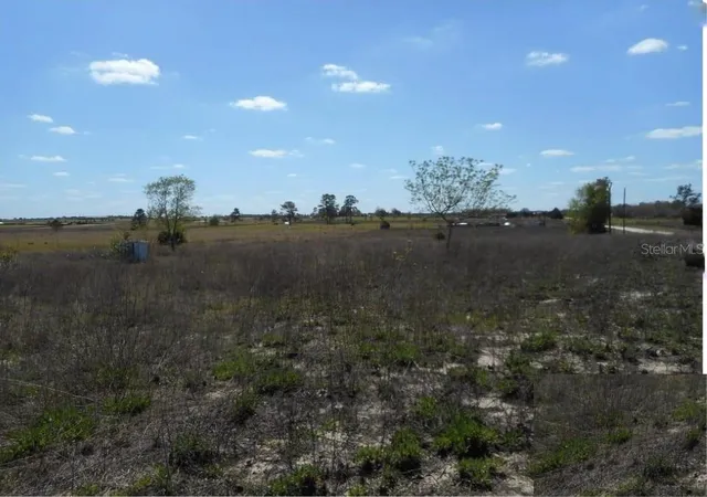 Photo 4 of Land for sale at 11790 NE 30th Street, Bronson, FL 32621 | MLS# OM720653 | Listing updated on 2026-08-11