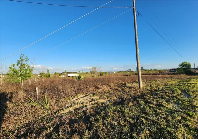 Photo 5 of Land for sale at 11790 NE 30th Street, Bronson, FL 32621 | MLS# OM720653 | Listing updated on 2026-08-11