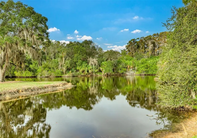 37th image of 470 Hickorynut Ave, Oldsmar, FL 34677 | MLS# TB8485715